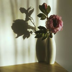 Peony in vase on table