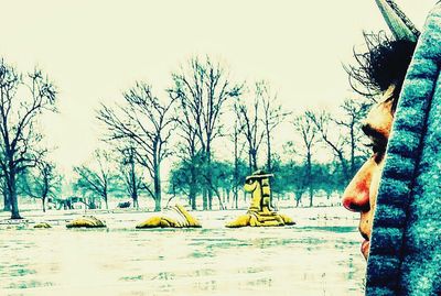 Bare trees in water