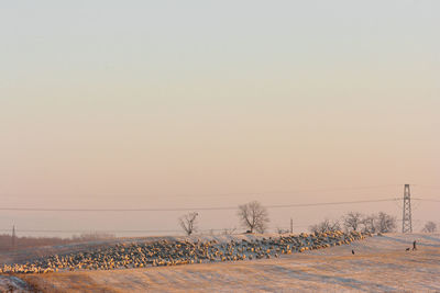 Scenic view of landscape