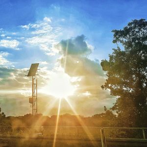 Sunlight streaming through trees on field against sky