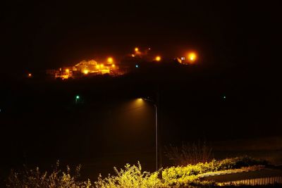 Illuminated trees against sky at night