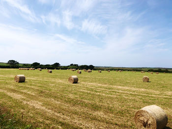 Hay bales on field against sky