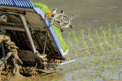 Bicycles on a lake