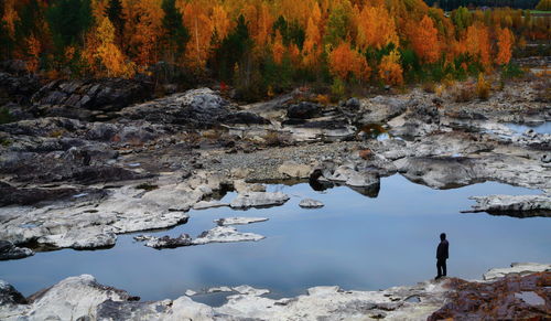 Scenic view of waterfall in forest during autumn