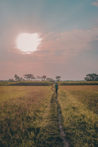Rear view of man on field against sky during sunset