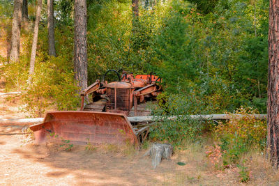 Old abandoned truck in forest