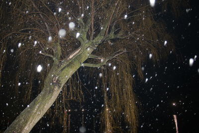 Low angle view of illuminated sky at night