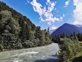 River amidst trees in forest against sky