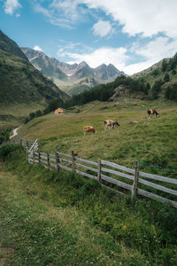 Scenic view of green landscape