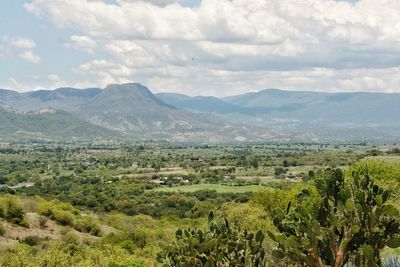 Scenic view of landscape against sky