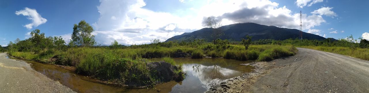 PANORAMIC VIEW OF ROAD AMIDST TREES AGAINST SKY