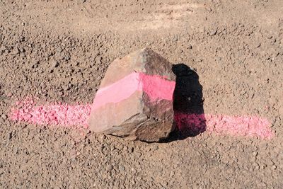 Close-up of stone on ground