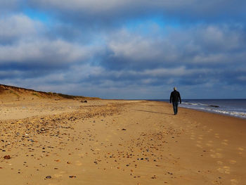 Rear view of man on beach against sky