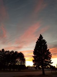 Silhouette trees against sky during sunset