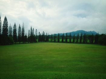 Scenic view of grassy field against cloudy sky