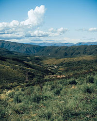 Scenic view of landscape against sky