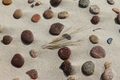 High angle view of stones and sand at slowinski national park