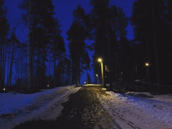 Illuminated street lights at night