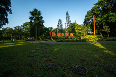 Trees in park