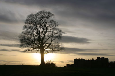 Silhouette of bare tree against cloudy sky