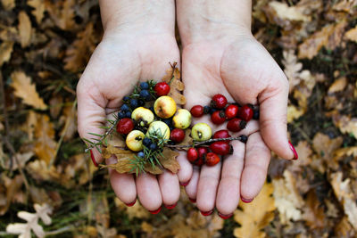 Close-up of hand holding berries