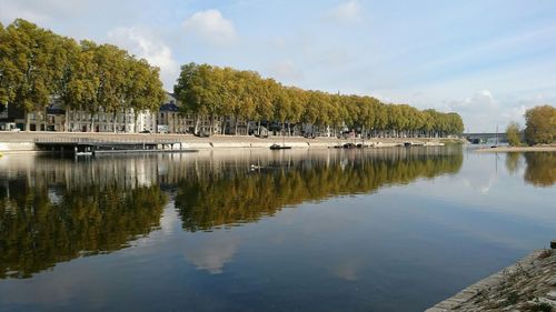 Reflection of trees in water