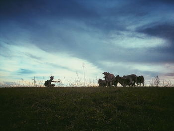 Horses on field against sky