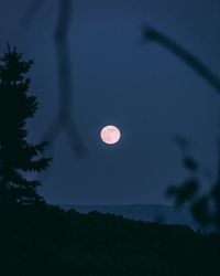 Low angle view of silhouette tree against sky at night