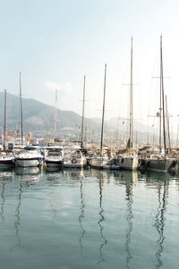 Sailboats moored in harbor