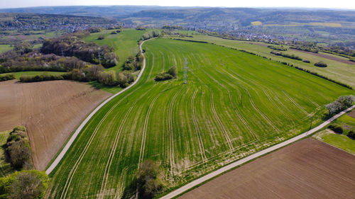 High angle view of agricultural field