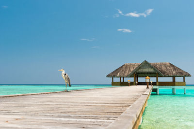 Rear view of woman walking on beach against sky