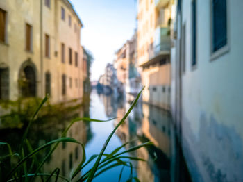 Close-up of canal amidst buildings against sky