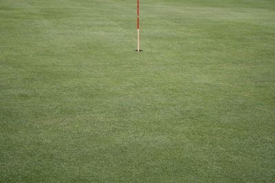 Green grass field golf