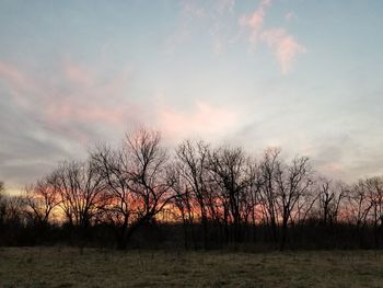 Silhouette bare trees on field against sky at sunset