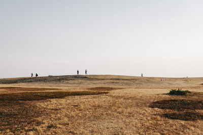Scenic view of field against clear sky