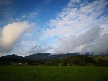 Scenic view of field against sky