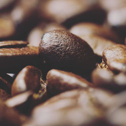 Close-up of coffee beans