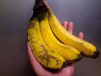 Close-up of hand holding fruit