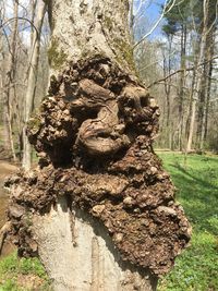 Sculpture of tree trunk