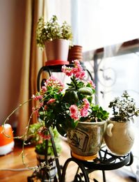 Close-up of flower pot on potted plant