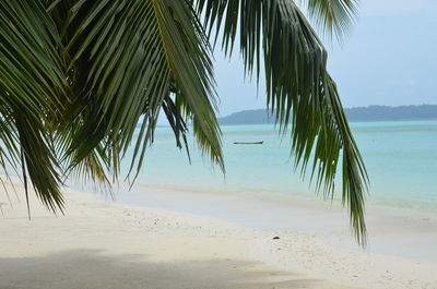 Scenic view of beach against clear sky