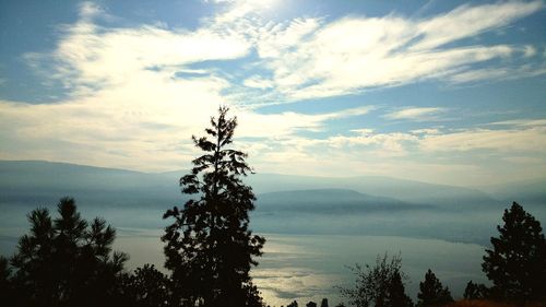 Silhouette of tree and mountains against cloudy sky