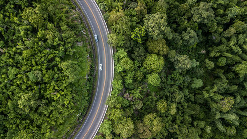 High angle view of road amidst trees in forest