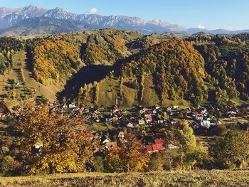 Plants and trees by buildings against mountains