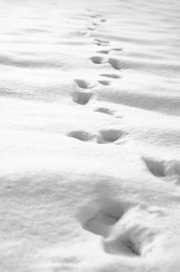 High angle view of footprints on snow covered land