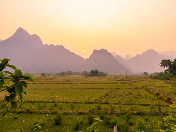 landscape