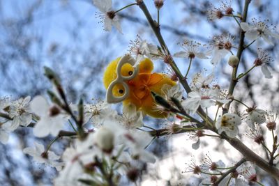 Directly below shot of yellow toy on tree