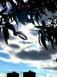 Low angle view of silhouette tree against sky