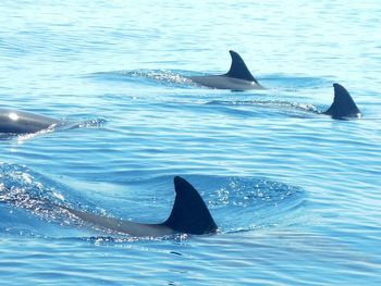 Scenic view of sea against blue sky