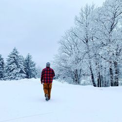 Rear view of person walking on snow covered land